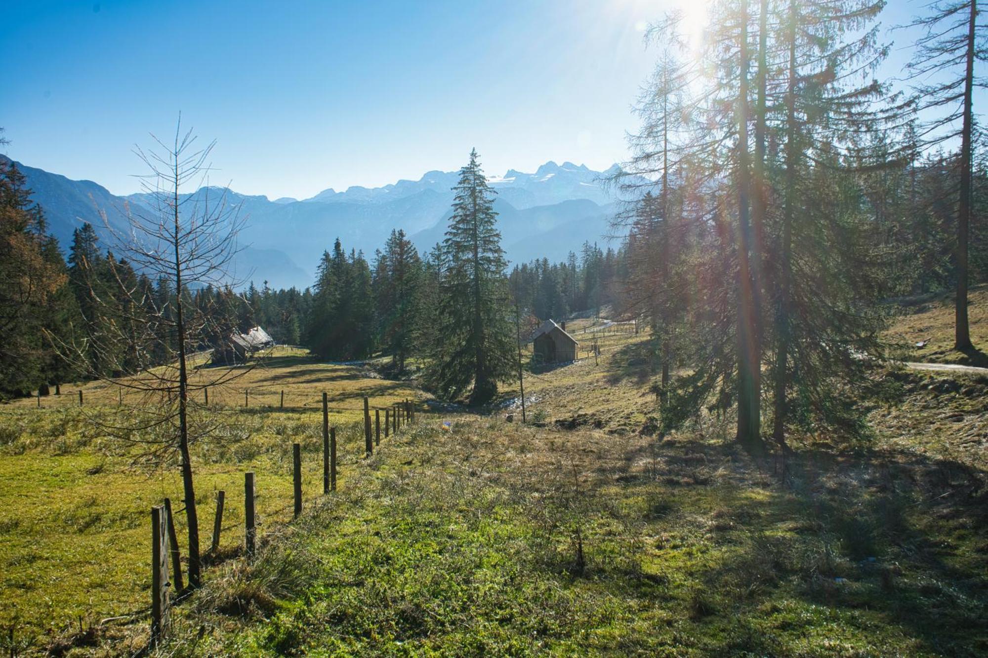 Ferienwohnung Panoramaglueck Bad Goisern Luaran gambar